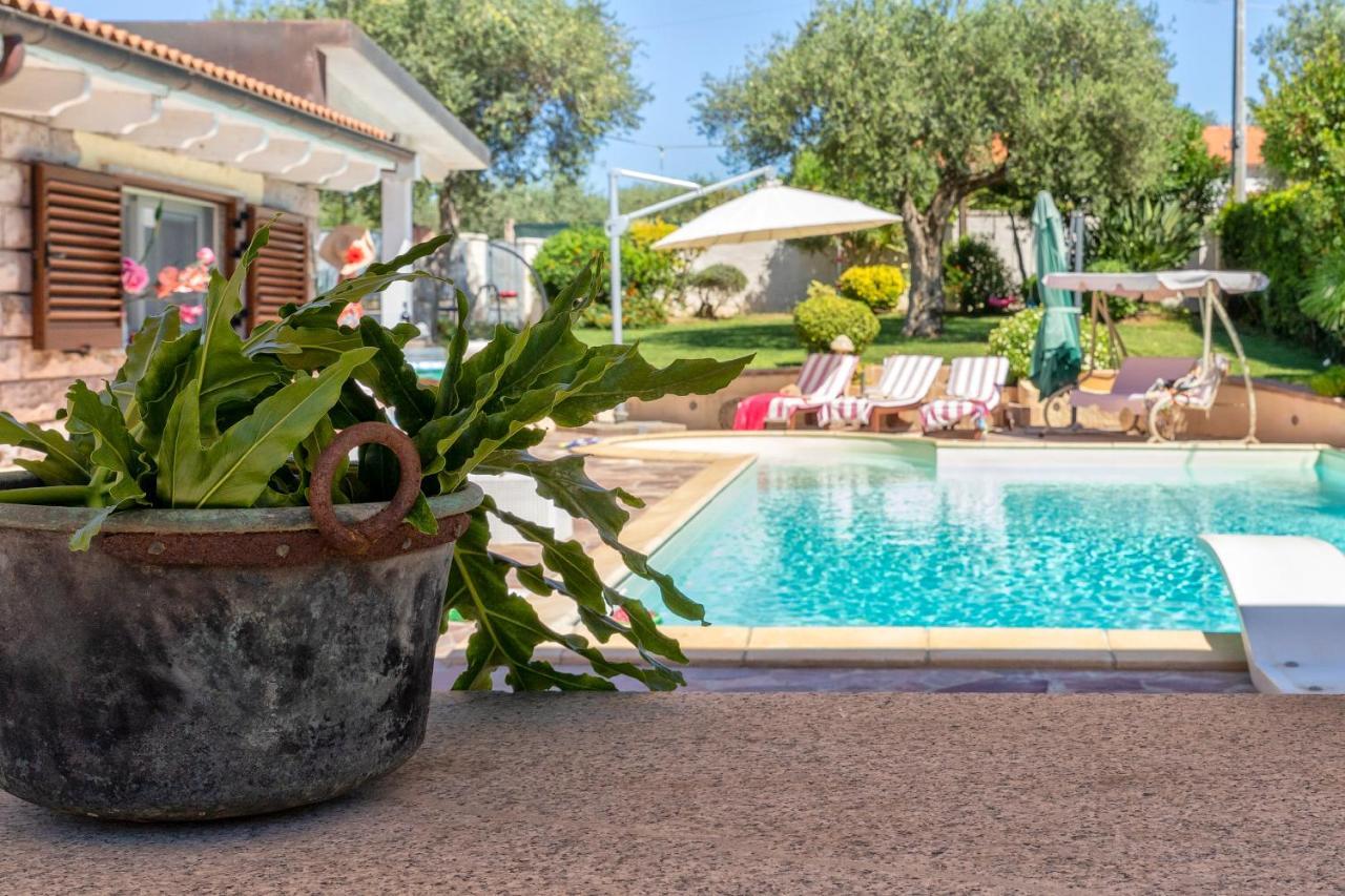 Villa Sunflower Alghero Bagian luar foto